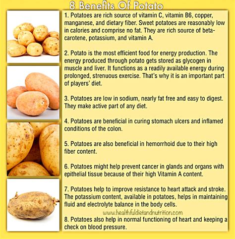 Power to the Spud: Why Potatoes are a Nutritious Choice